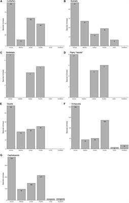 Global Patterns of Species Richness in Coastal Cephalopods